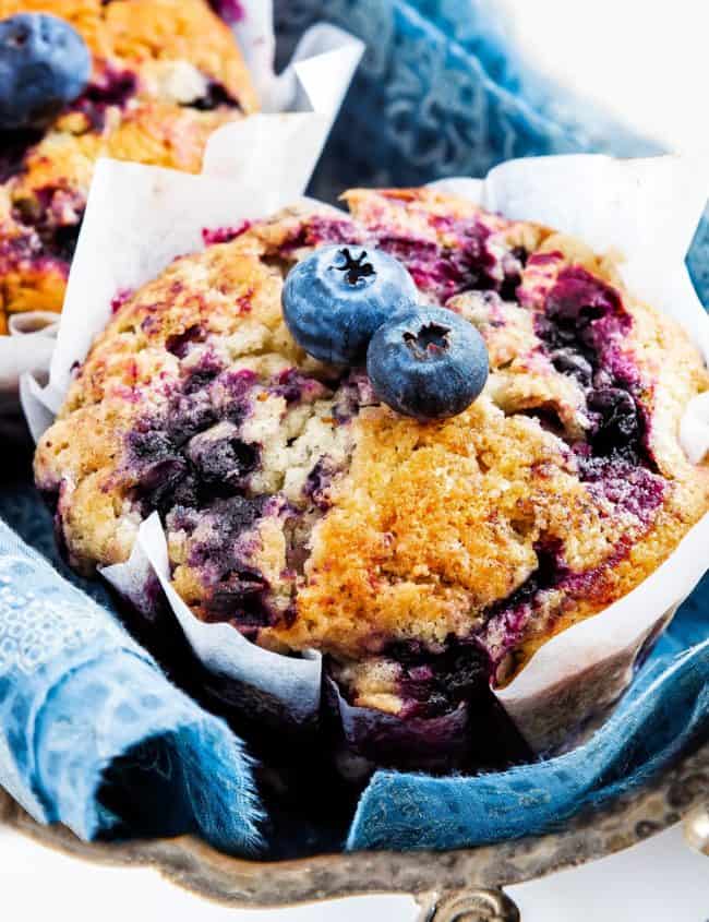 A close up of blueberry muffins with fresh blueberries on top