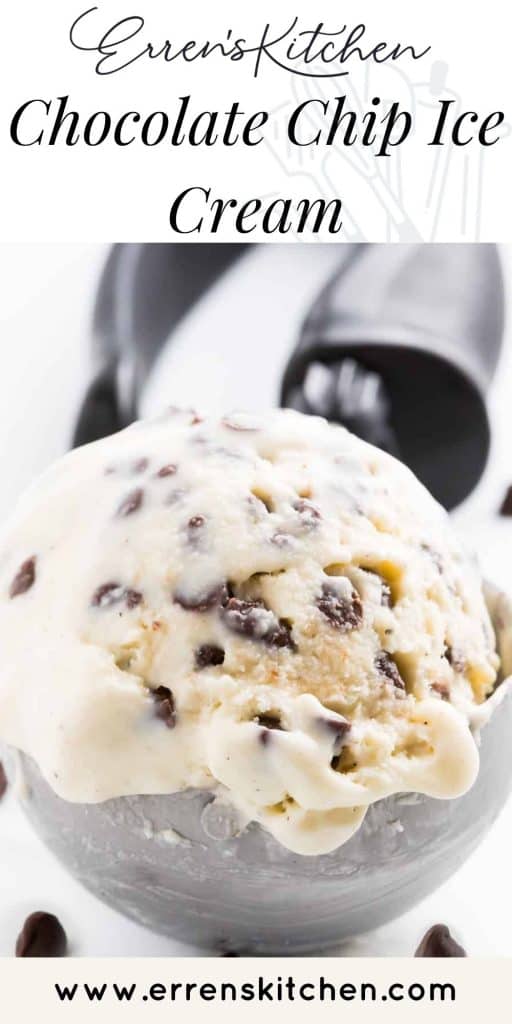 A scoop of chocolate chip ice cream.