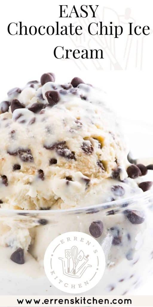 a bowl of chocolate chip ice cream