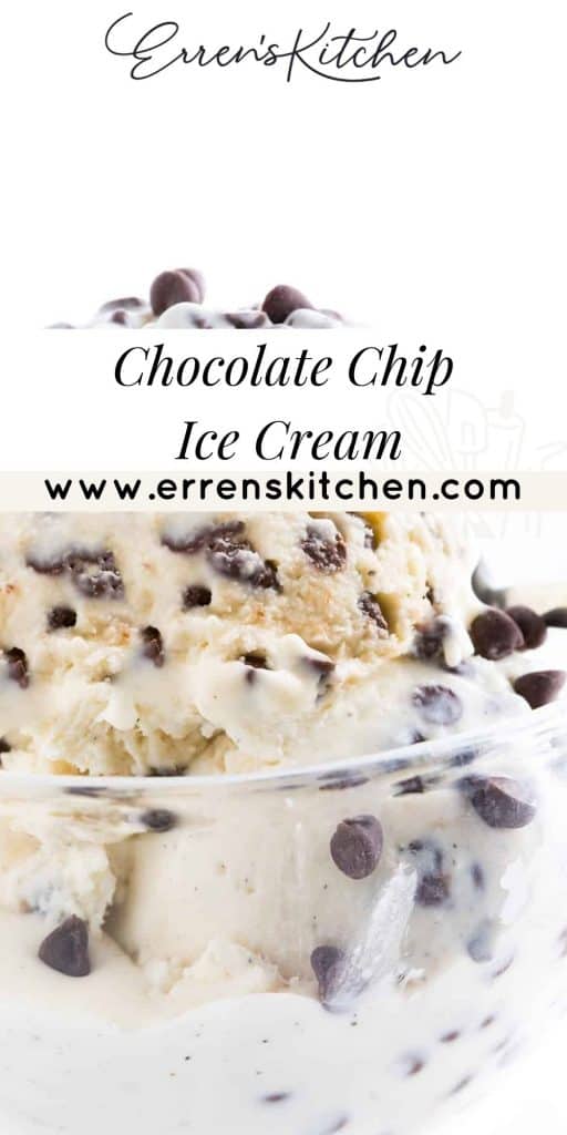 a bowl of chocolate chip ice cream