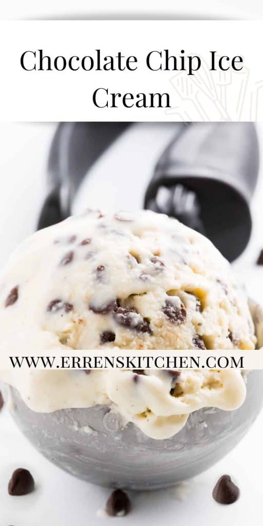 a scoop of chocolate chip ice cream