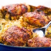 A spoonful of chicken and rice