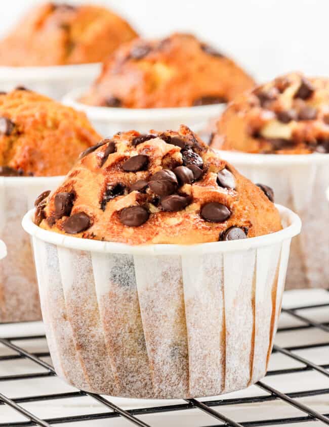 a close up of a chocolate chip muffin on a cooling rack