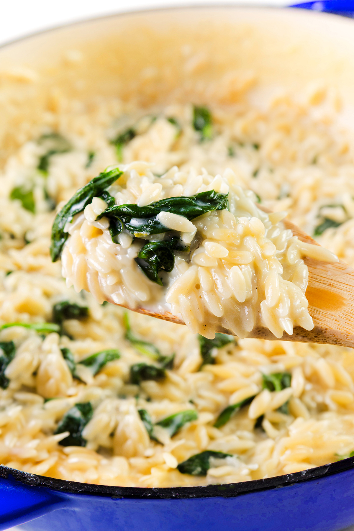 One Pot Parmesan Lemon Orzo Pasta