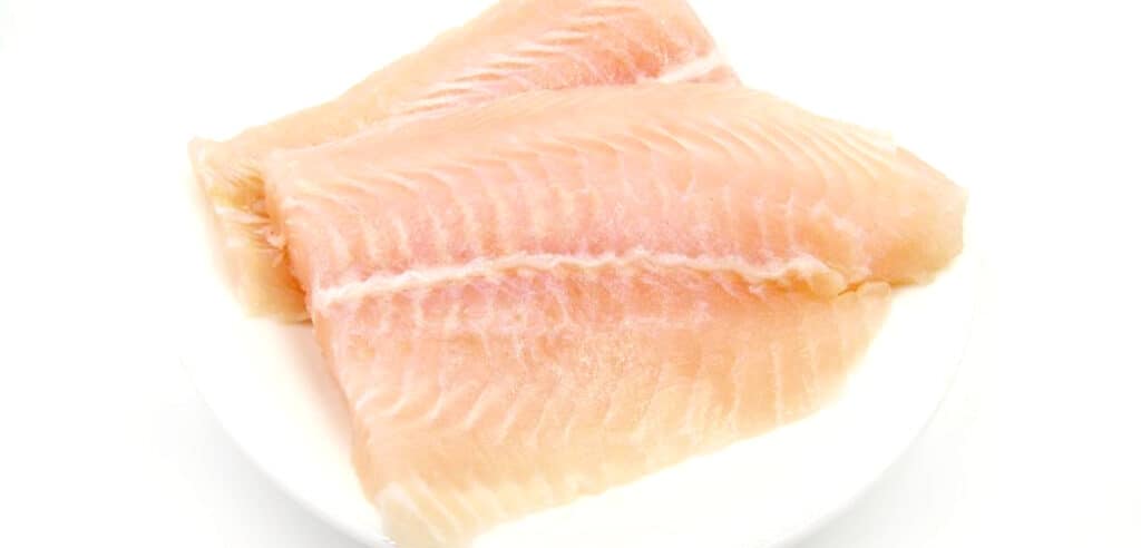 two fish fillets on a plate