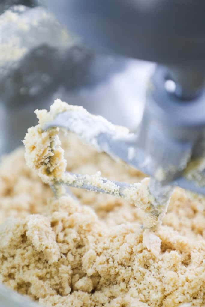 Shortbread Crust {Sablé Breton} dough with a sandy texture in a mixing bowl