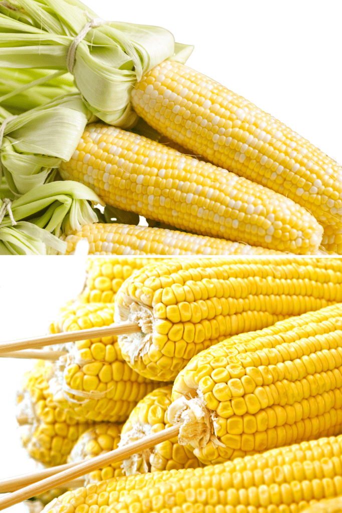 corn with tied husks and dowels through the bottom