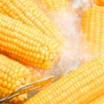 Boiling corn on the cob in pot