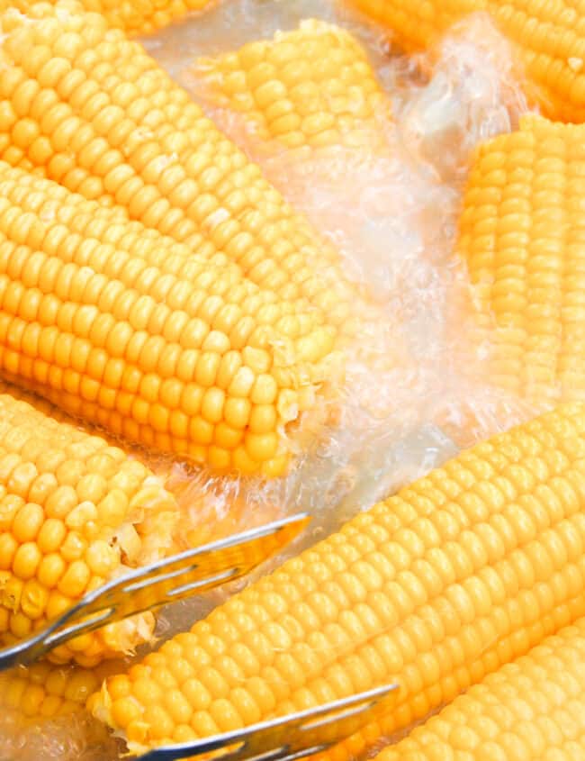 Boiling corn on the cob in pot