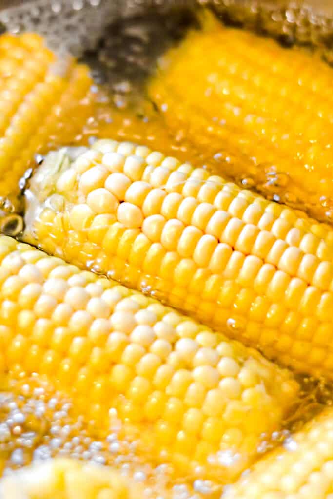 a large pot of Boiling corn on the cob