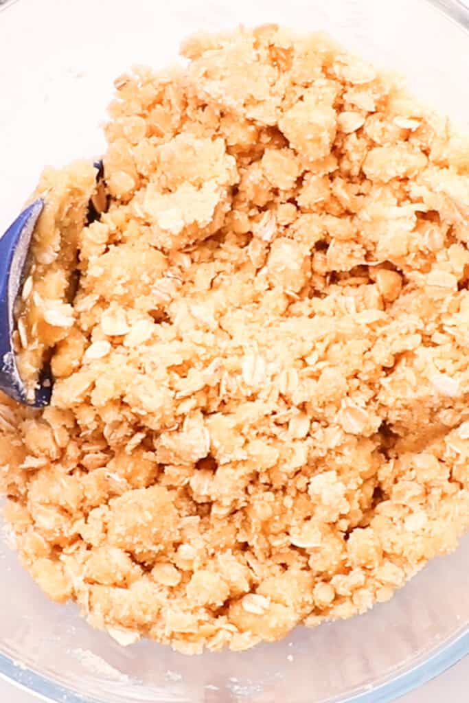 the Oatmeal Apple Crisptopping mixed in a bowl