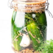 a jar of Half Sour Refrigerator Pickles with garlic, spices, and fresh dill