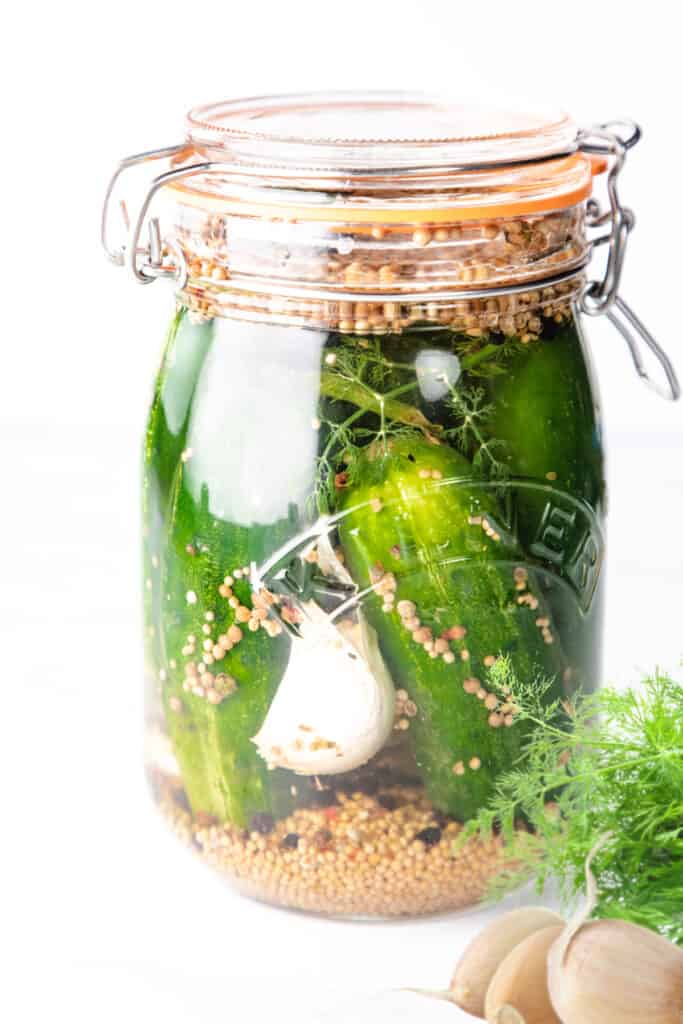 un frasco de encurtidos frigoríficos Half Sour con ajo, especias y eneldo fresco