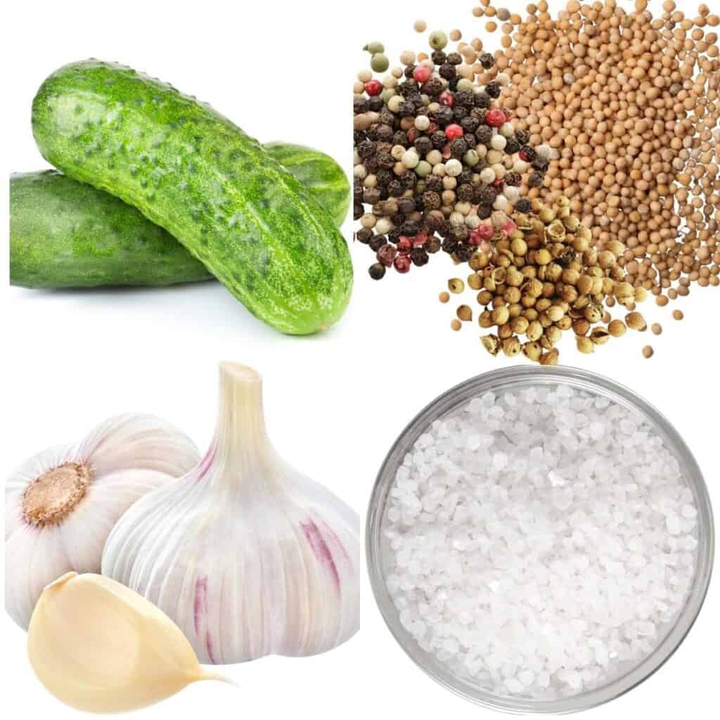 pepinos, semillas de cilantro, granos de pimienta, semillas de mostaza, ajo y sal