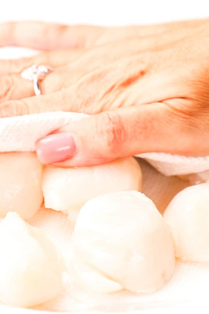 a paper towel being pressed on fresh scallops