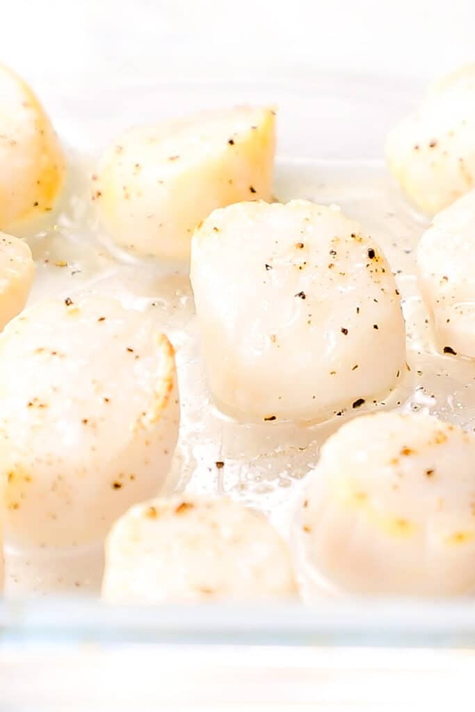 partially cooked scallops in a pan