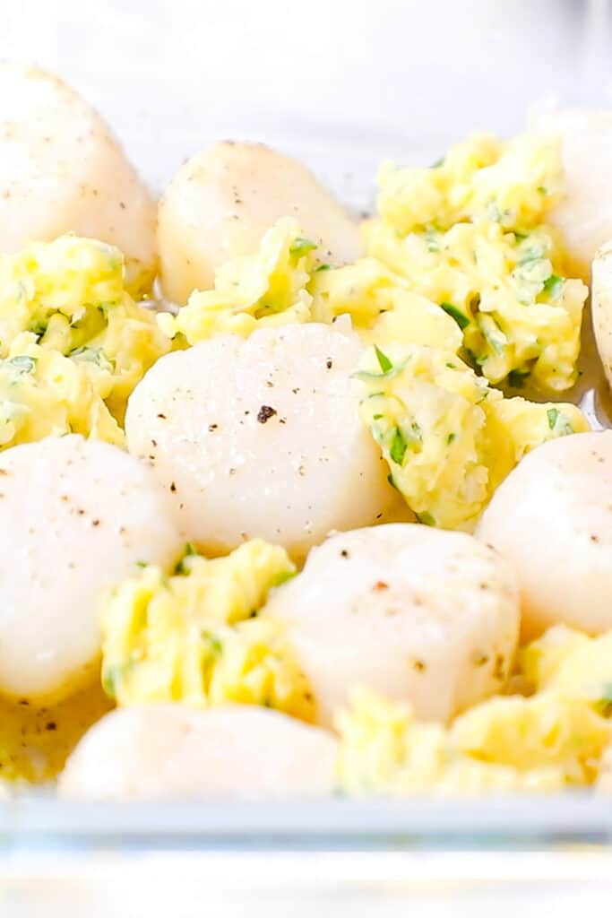 scallops with seasoned garlic butter in a pan