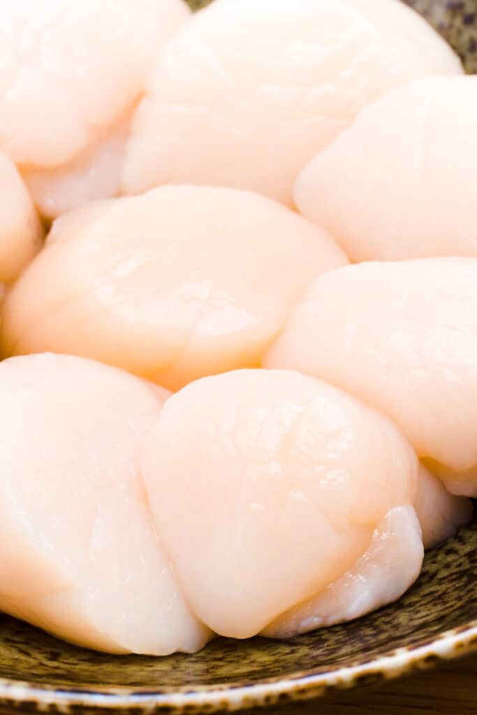 a dish of raw scallops