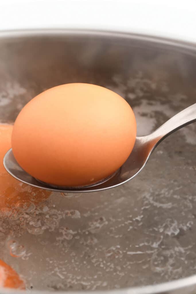 a spoon lowering an egg into a pot of boiling water