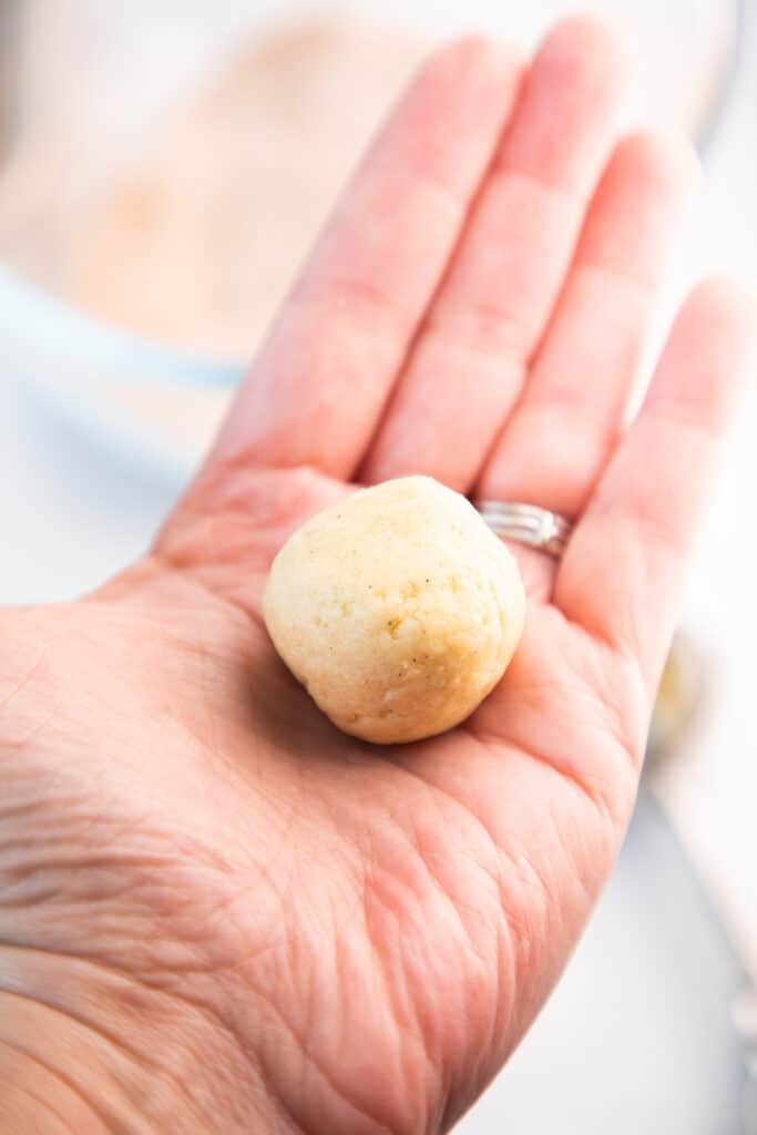 a hand holding a ball of snickerdoodle dough