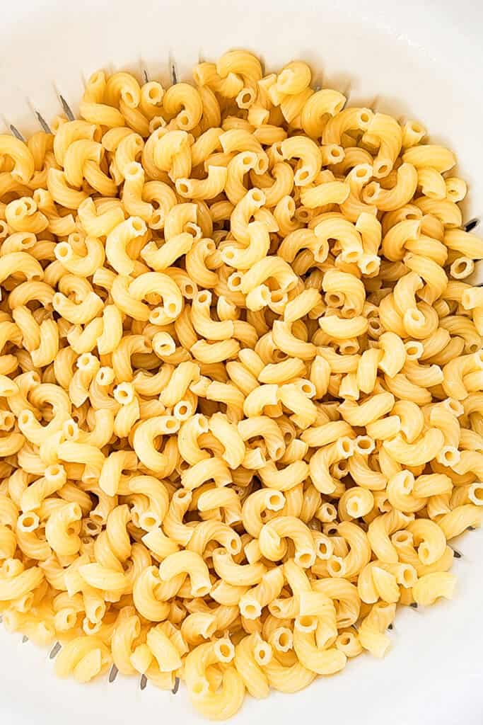 cooked elbow macaroni in a strainer