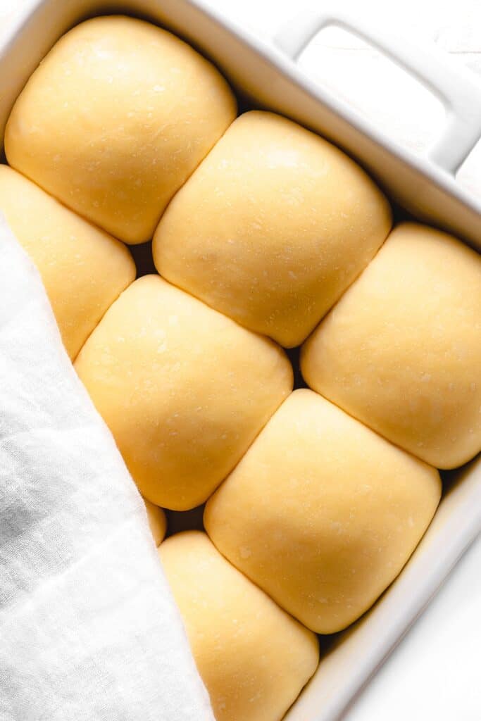 The dough balls doubled in size in the pan