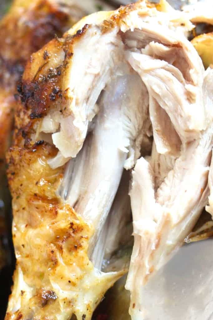 a cooked chicken leg with no pink meat near the bone