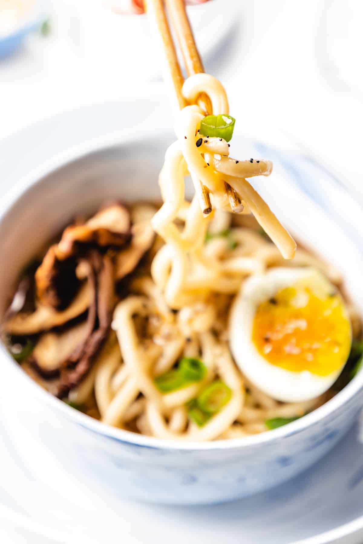 Udon Soup