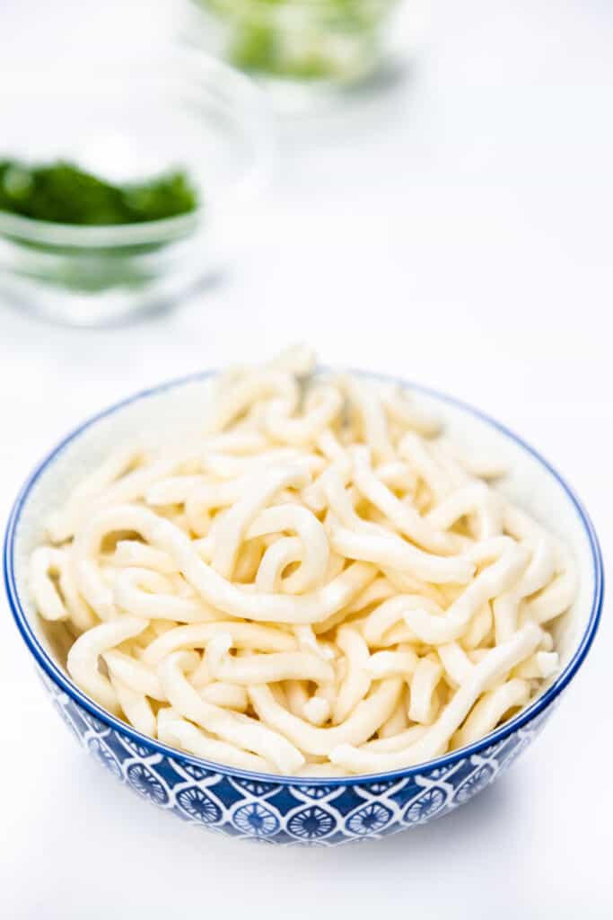 a bowl of  of cooked udon noodles