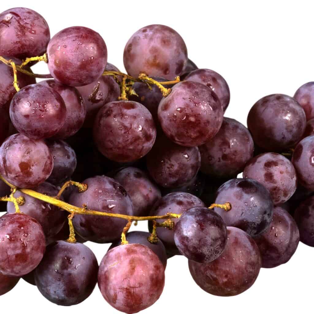 a close up image of a bunch of Xinomavro Grapes