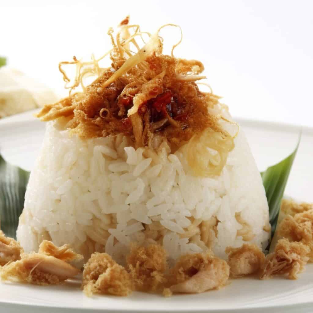 a plate of Xôi sticky rice topped with fried shallots and shredded chicken
