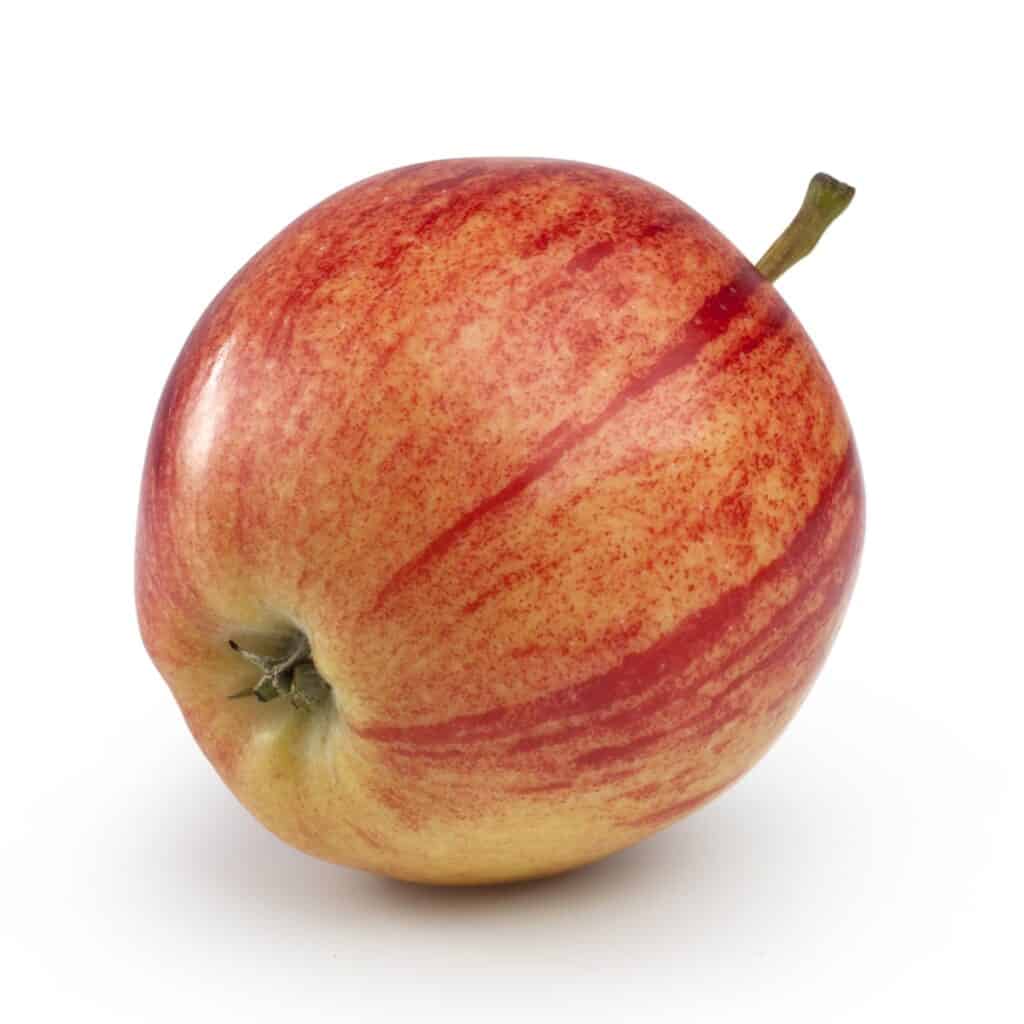 a single Xuanina apple with a white background