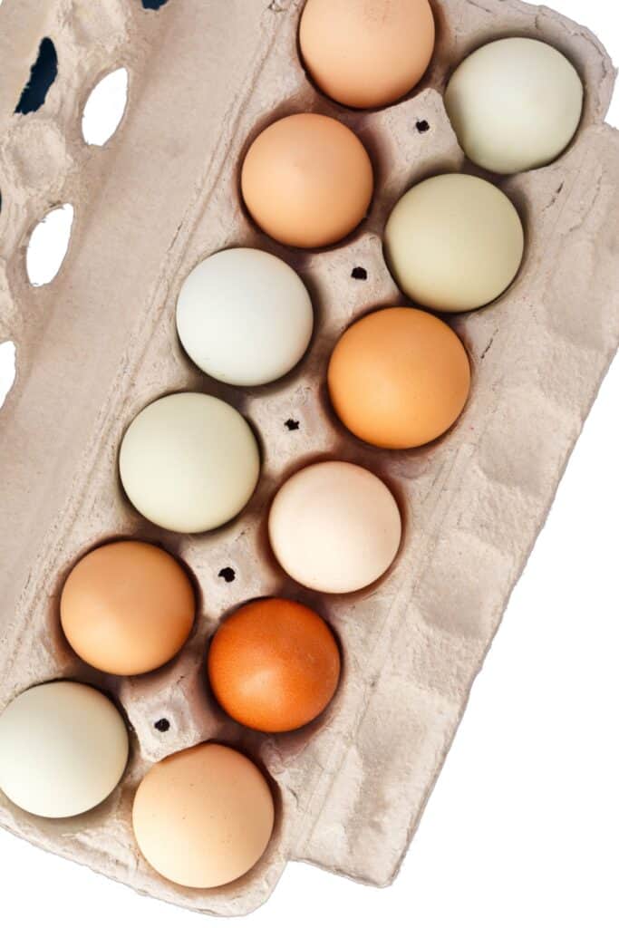 a close up image of a carton of eggs