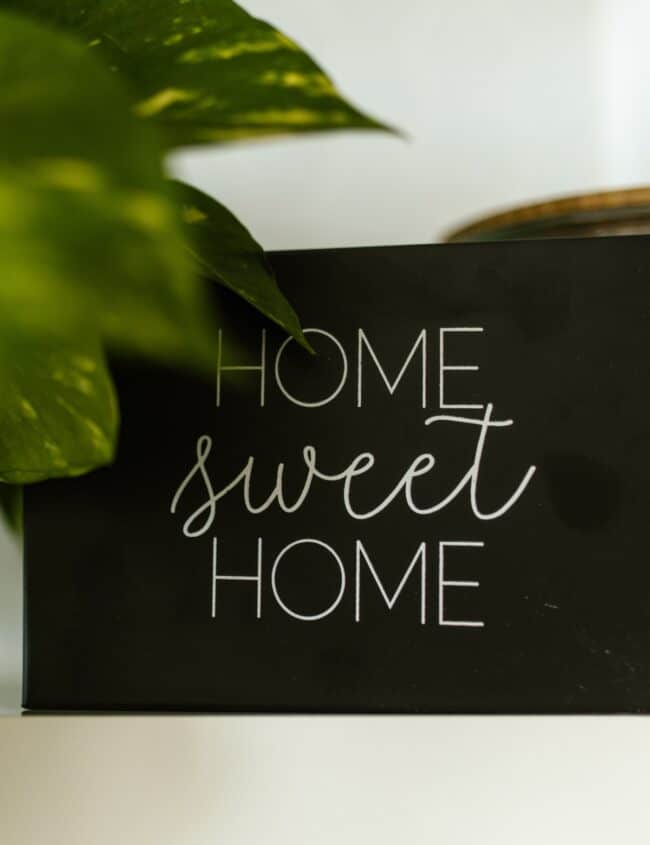 a plant with a sign that says home sweet home