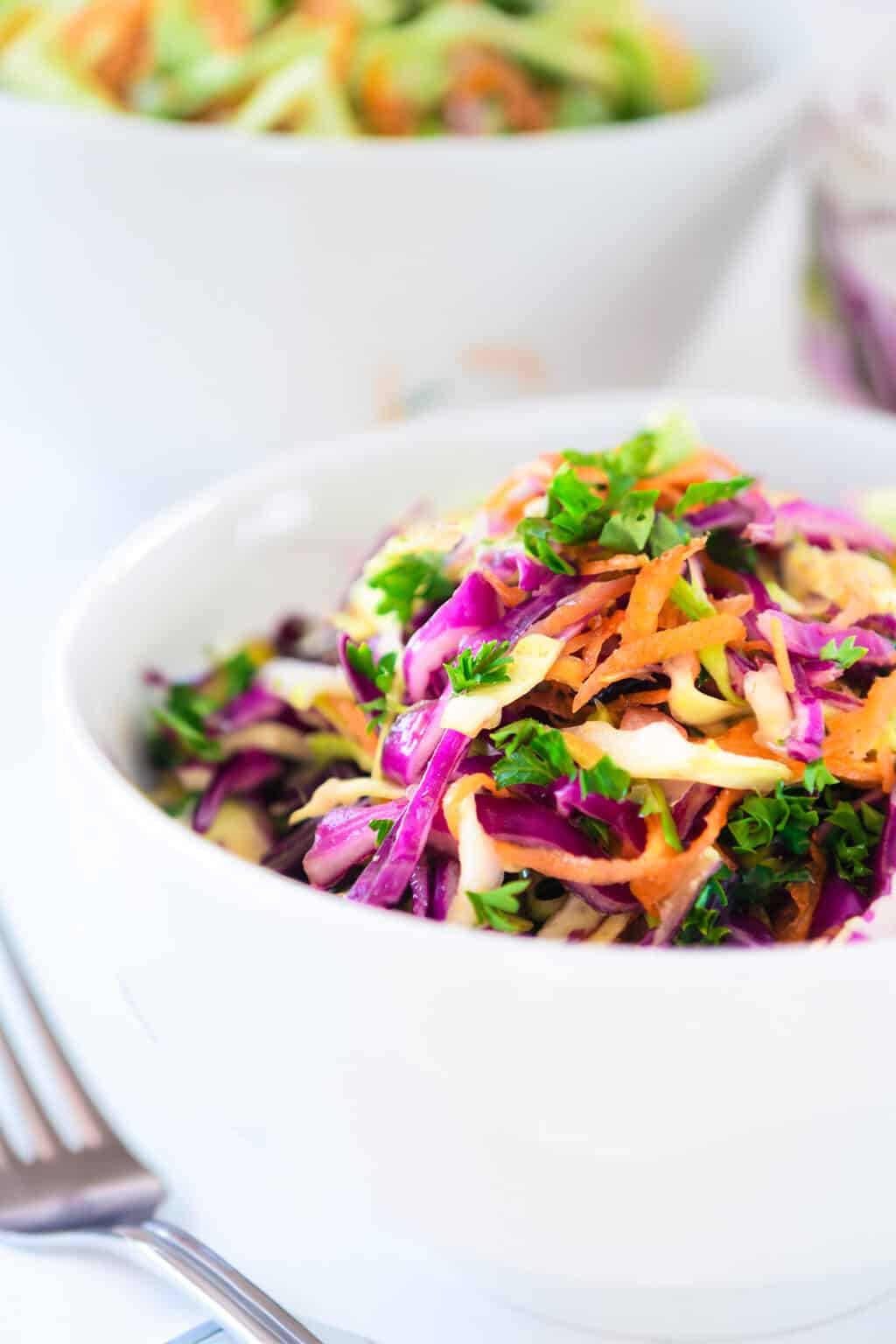 Vinegar Coleslaw {No Mayonnaise} Erren's Kitchen