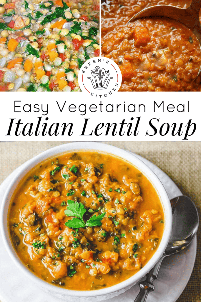 A big bowl of lenil soup with onions, carrots, celery, tomatoes, lentils, and topped with fresh parsley.