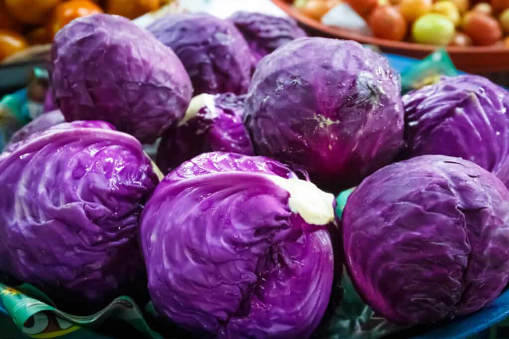 a grocery store display of heads of fresh purple cabbage.