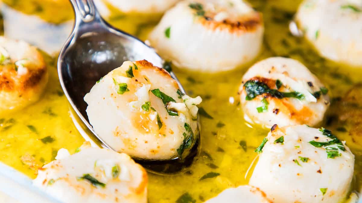 broiled scallops in a garlic butter sauce being served with a spoon.