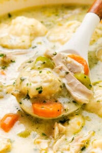 Chicken Dumpling Soup