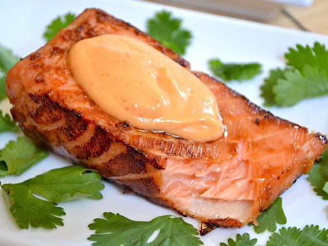 Sensational Salmon, 10 Dishes for a Gourmet Touch