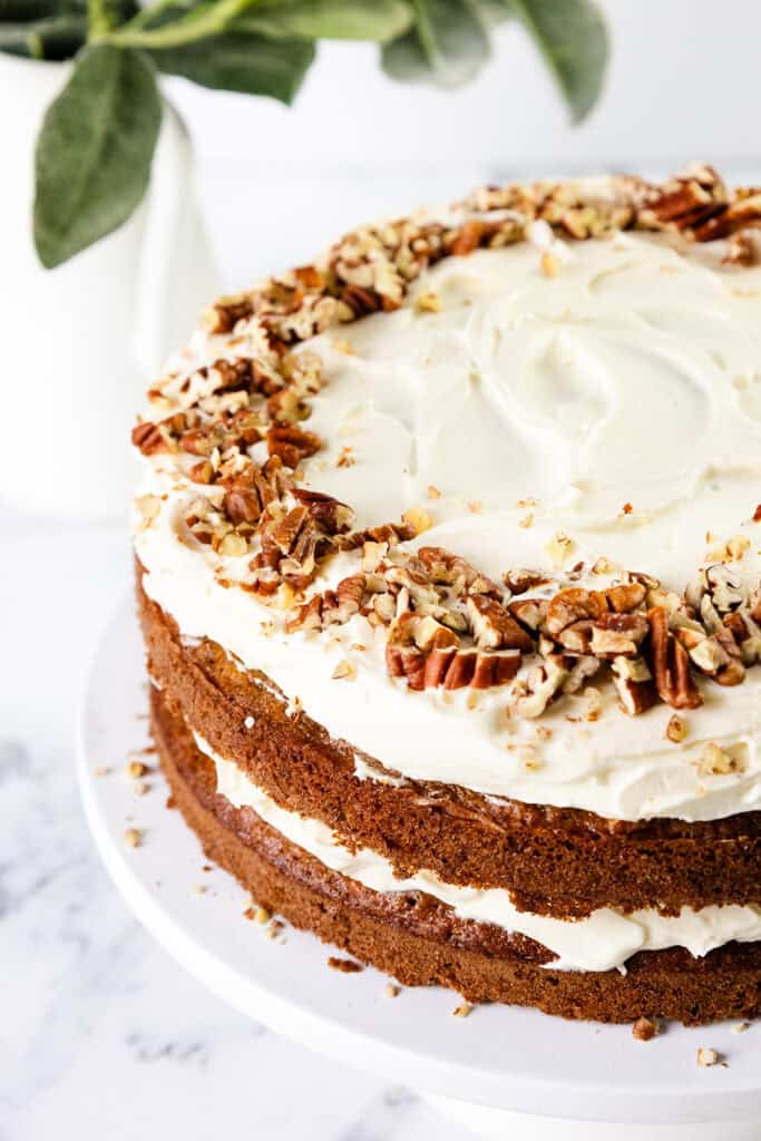 A close-up of a layered carrot cake with luscious cream cheese frosting on a white cake stand. The top is elegantly decorated with chopped pecans around the edge, while a plant with green leaves is softly blurred in the background.