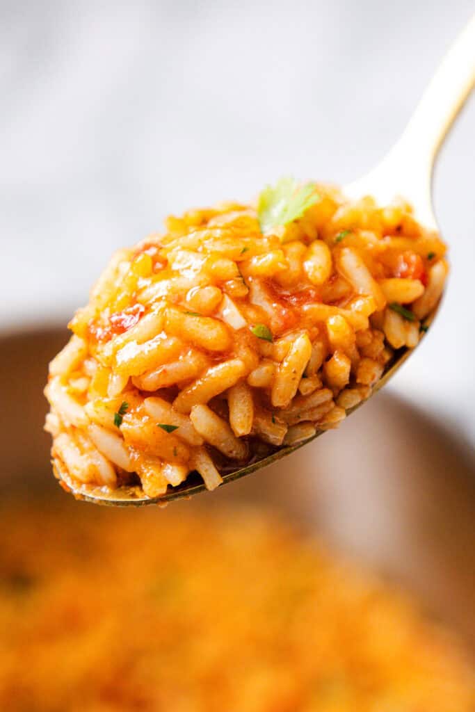 A close-up of a spoonful of Mexican Rice topped with a small cilantro leaf, showing the orange-tinted rice mixed with tomato sauce and herbs. The background is softly blurred for a warm, inviting feel.