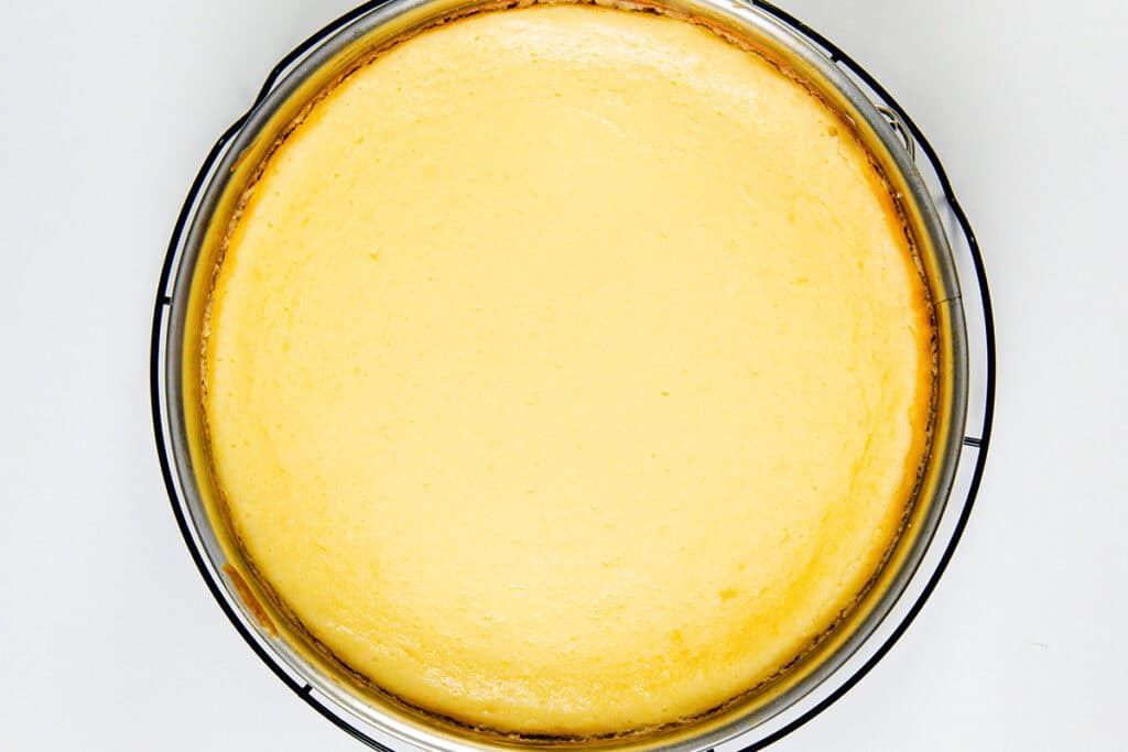 A whole, creamy cheesecake in a round pan, viewed from above on a white background. The surface is smooth and creamy yellow with slightly browned edges, capturing the classic appeal of a freshly baked cheesecake.