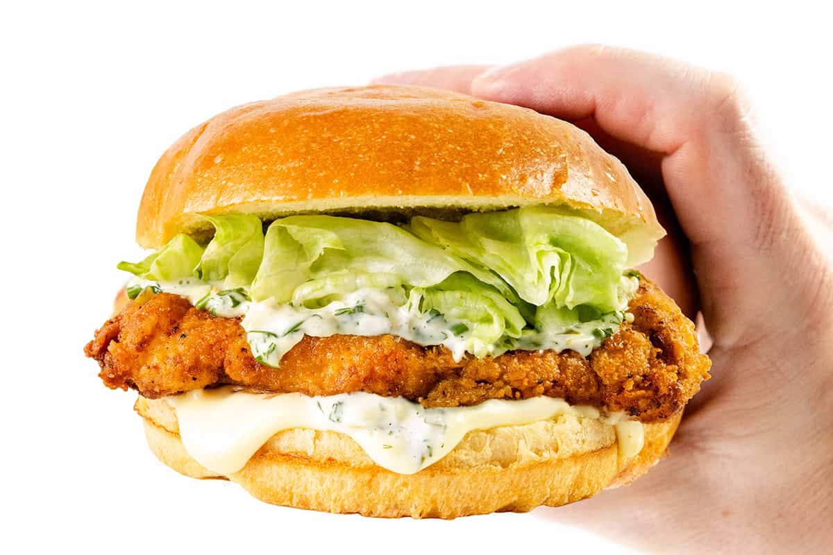 A hand holding a pickle brined fried chicken sandwich with lettuce, creamy sauce, and a golden toasted bun against a white background.