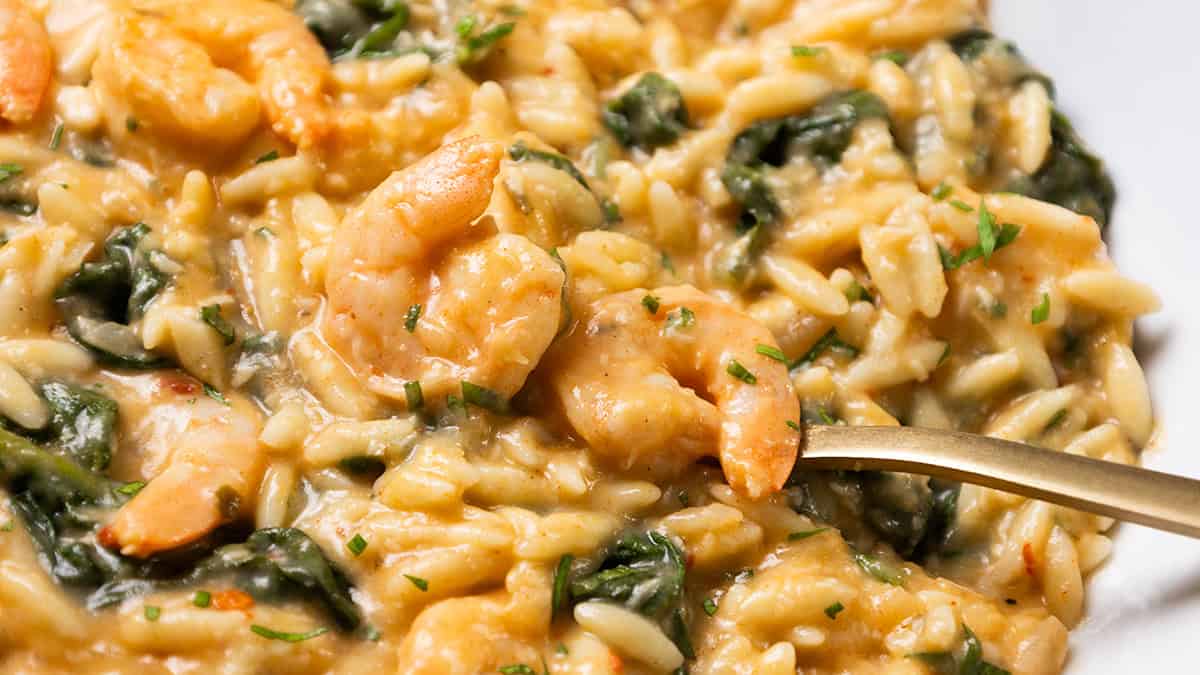 One Pot Lemony Shrimp and Orzo