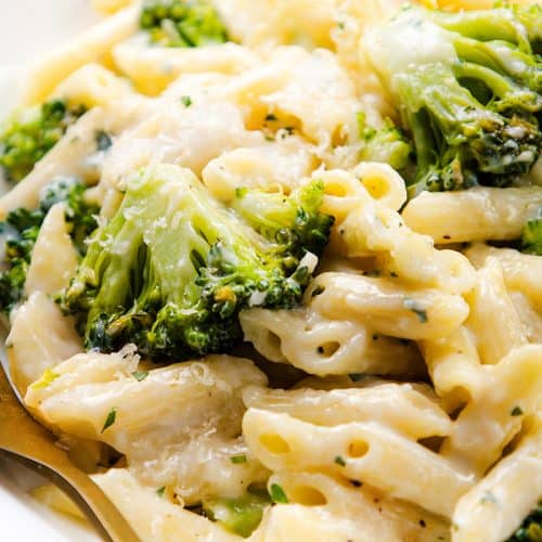 Close-up of creamy garlic pasta with penne and broccoli florets, topped with melted cheese, served on a white plate with a gold fork beside the pasta.