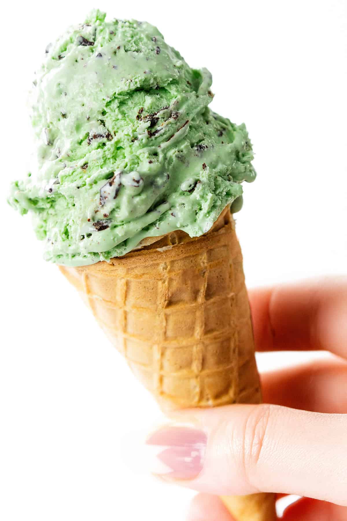 Fresh Mint Chocolate Chip Ice Cream